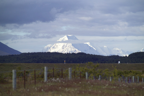 Image Number 