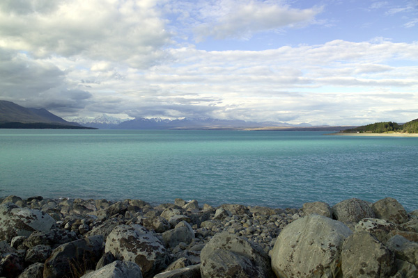 Image Number 