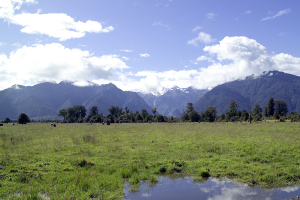 Image Number 