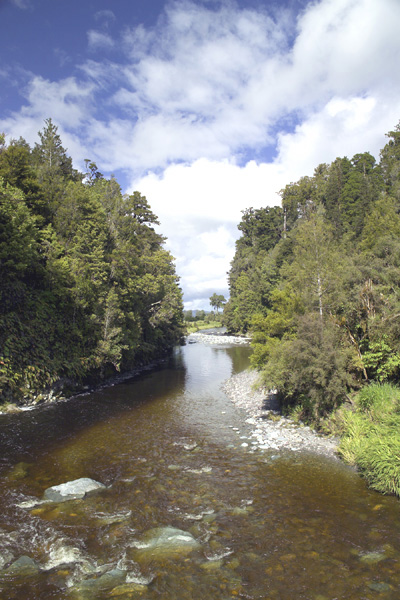 Image Number 