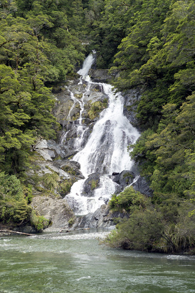 Image Number 