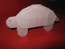 Tortoise