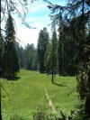 Circle Meadow