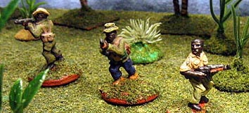 ANC Forces on patrol