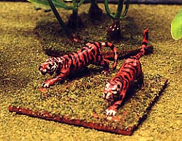Tigers at HOTT Beasts