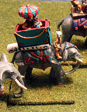Malay Elephant General
