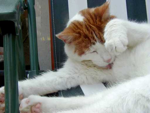 But still posing.