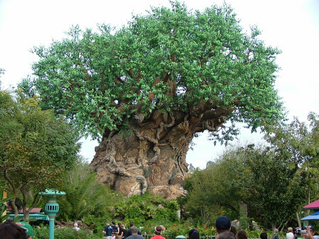 Animal Kingdom