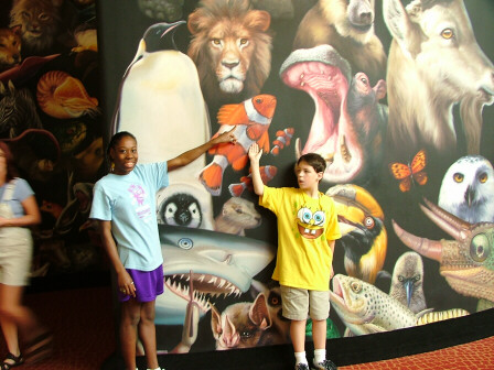 Animal Kingdom