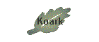 Koark