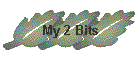 My 2 Bits