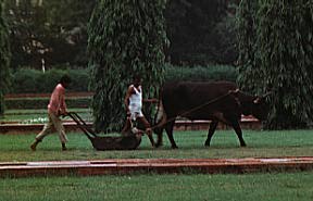 Power mower