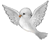 Dove