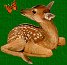 Fawn