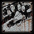 Click here for the White Wolf Game Studios page.