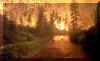 Montana_Fire.jpg (39487 bytes)