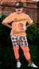 Amster_bronc1.jpg (30953 bytes)