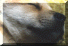 wpe29742.gif (283956 bytes)