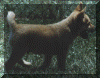 wpe29214.gif (257131 bytes)