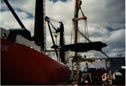 Zonyx Report Photo:  Unloading at Port of Milwaukee.  Go to Accompanying Article.