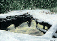 Chilcotin Pond