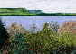 Lookout Near Rossport