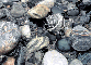 Pebbles