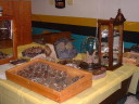 DSCF0076t.JPG