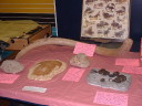 DSCF0081t.JPG