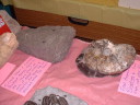 DSCF0082t.JPG