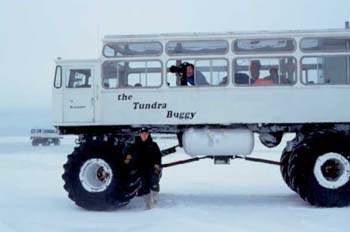 Mike Buggy