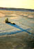 Long Shadow