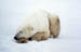 Sleep 2