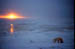 Sunset 2