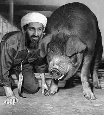 Osama the Pooh with his Guiness Pig