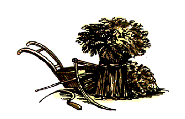 The Harvesting