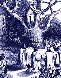 Druids pefecting escape drill from trees for fire-fighting volunteer work.