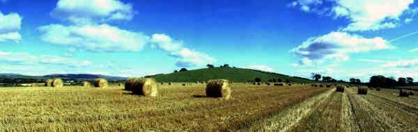 Some fields in scotland after the harvest