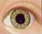 druids don't have brown eyes, we have hazel eyes