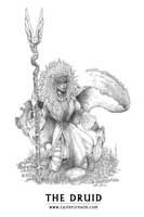 Fantasy Druidess