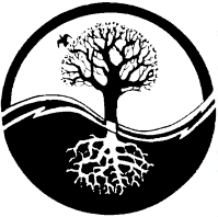 roots and branches