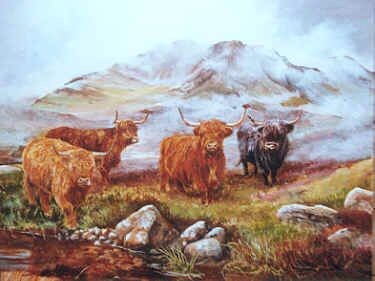 highland cows.