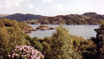 Summer in the Highlands