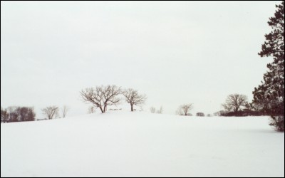 Winter time at the Hill of Three Oaks at Carleton College 1967.  After naming the hill, the area has become synomous with Druidism, and numerous meeting places dot the surrounding forests, conjuring up mysterious rumors of the group's activities, and fond memories to most alumni.