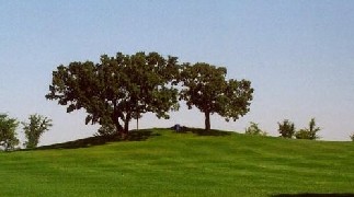 The Hill of Three Oaks, where many of the first services were held at Carleton