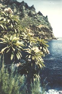  The beach 