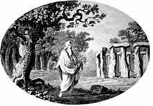 A Druid in its Grove 