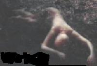 Shipwrecked body on the beach 