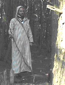 The archdruid in his robes amongst his trees