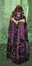 Dylan of the Woods
